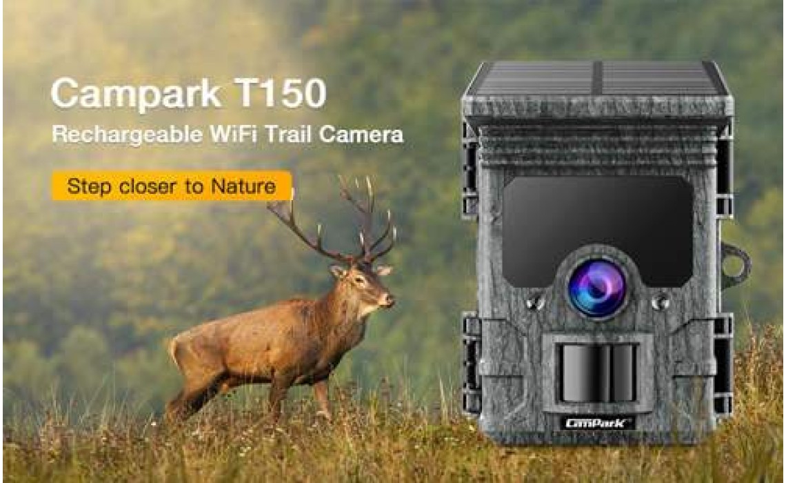 Factors That Affect Trail Camera's Longevity